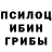 Псилоцибиновые грибы Magic Shrooms Brienna Fischer