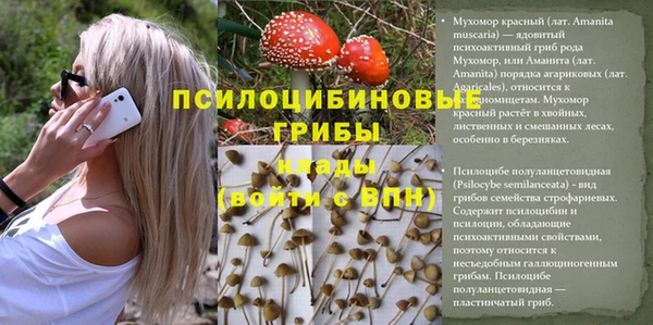 твердый Алзамай