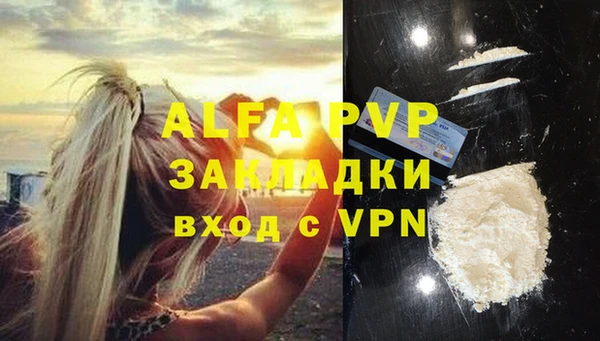 твердый Алзамай